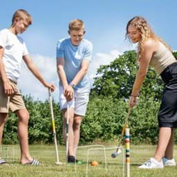 Zeige Details für Croquet Family Bild von Croquet Family
