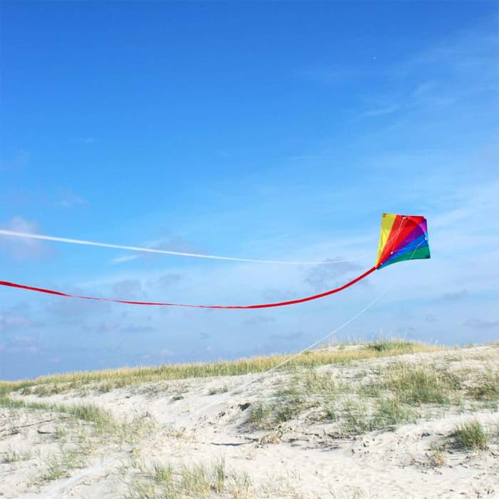 Bild von Racer Rainbow
