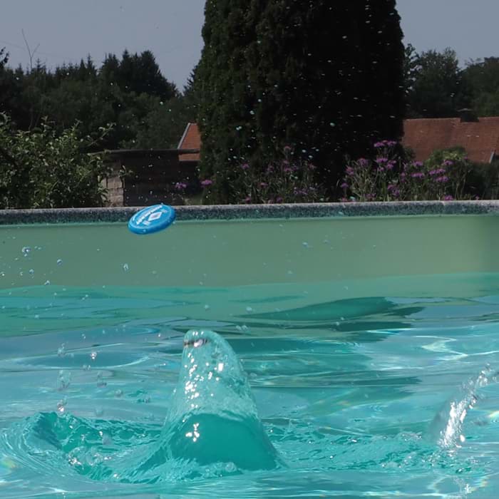 Bild von Neopren Water Bouncers Set mit 3 St.