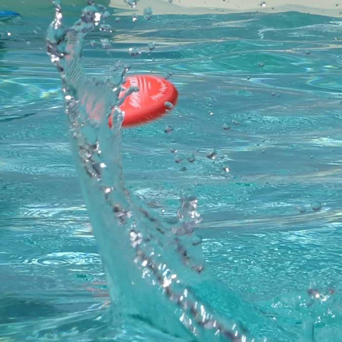 Bild von Neopren Water Bouncers Set mit 3 St.