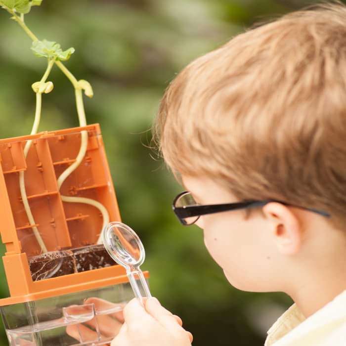 Bild von Green Science Wachsendes Labyrinth