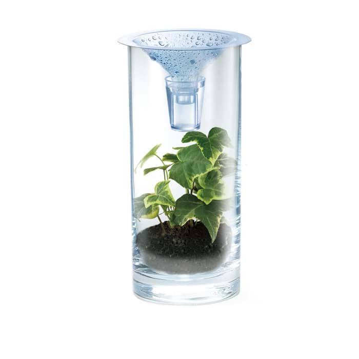 Bild von Green Science Sauberes Wasser