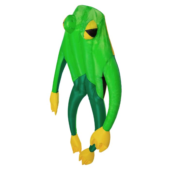 Bild von Fritz the Frog