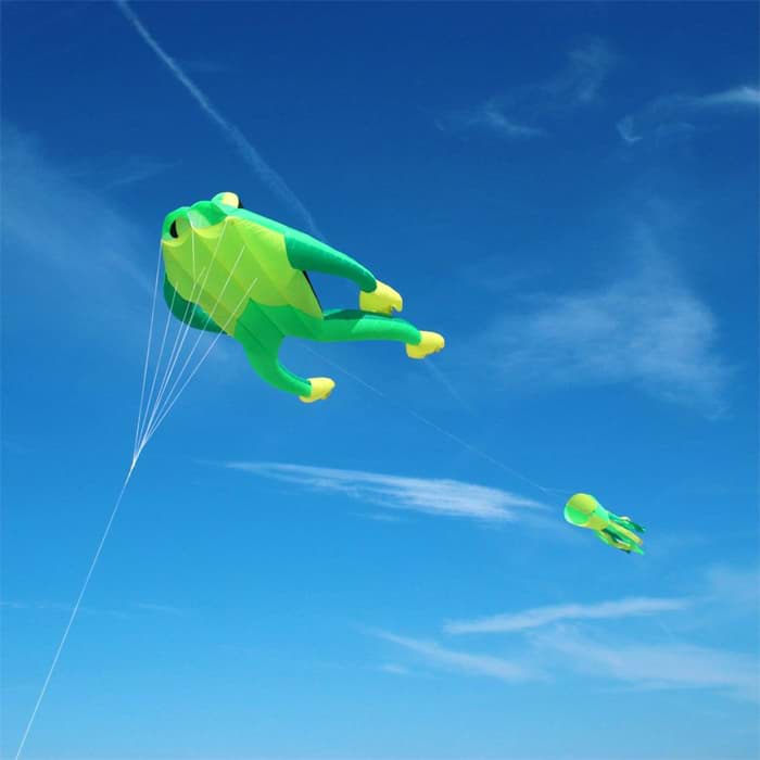 Bild von Fritz the Frog