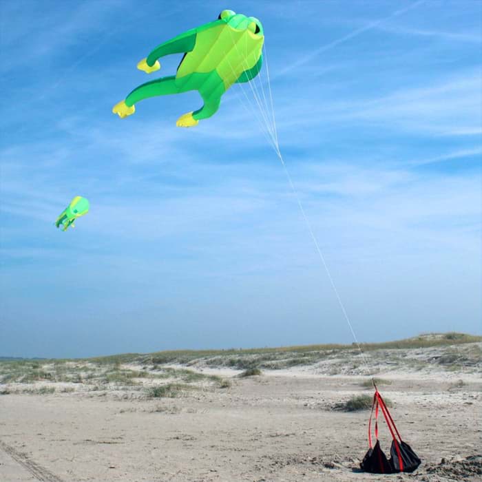 Bild von Fritz the Frog