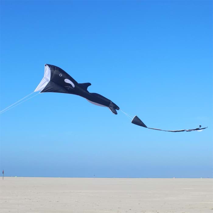 Bild von Willi the Whale
