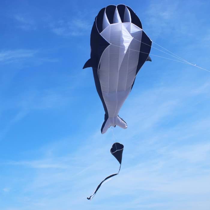 Bild von Willi the Whale