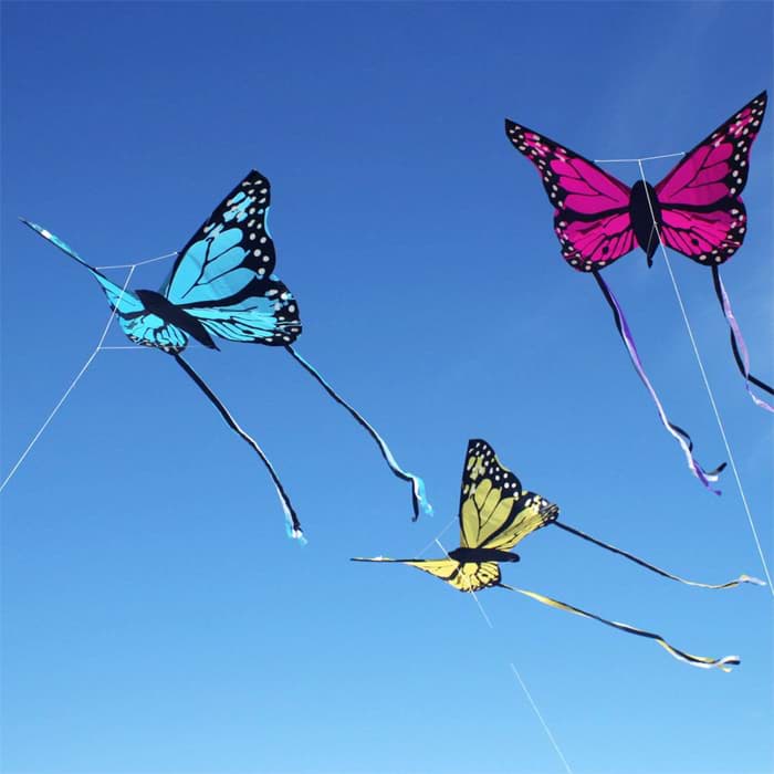 Bild von Bella Butterfly