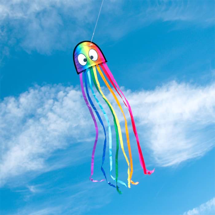 Bild von Mini Oktopus Regenbogen
