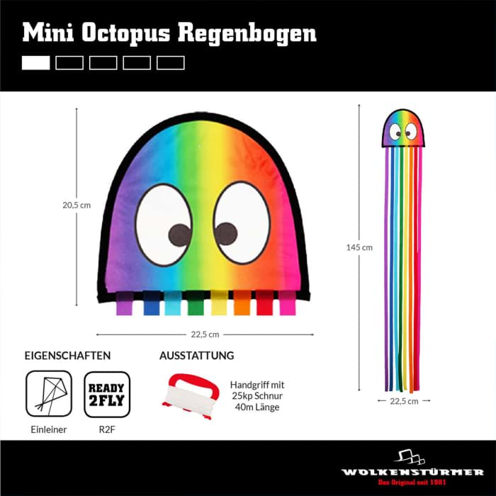 Bild von Mini Oktopus Regenbogen