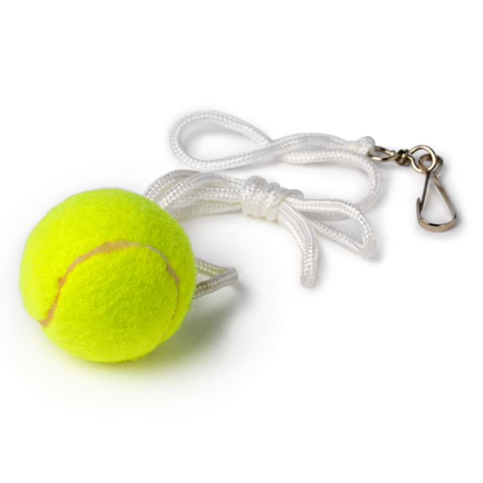 Bild von Tether Ball