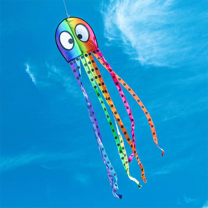 Bild von Olli Oktopus Regenbogen