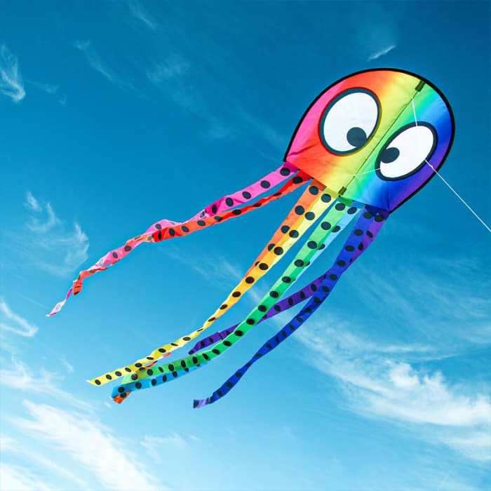Bild von Olli Oktopus Regenbogen
